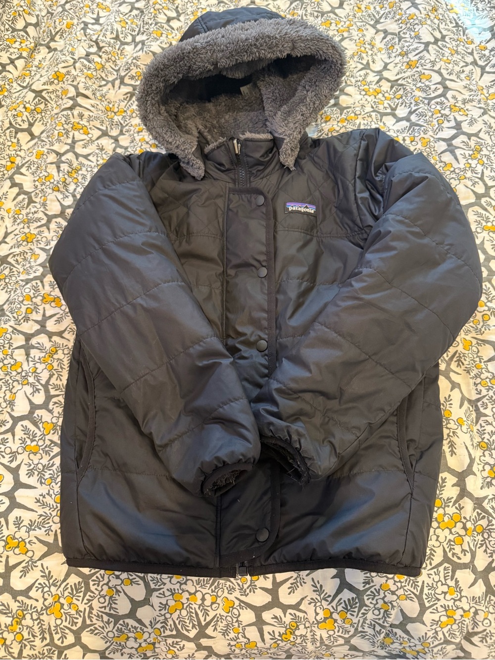 Patagonia Black Hooded Puffer Jacket with Sherpa Lining